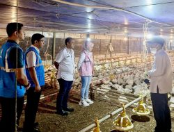 Tarif Listrik Tetap! Kabar Gembira Bagi Kantong Rakyat?