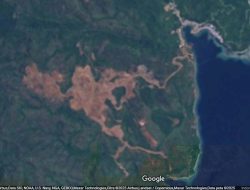 Keputusan Presiden Prabowo: Raja Ampat Terbebas dari Cengkeraman Tambang?