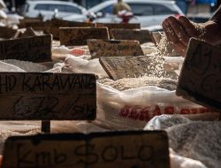 Harga Beras Meroket! Kantongmu Menjerit?