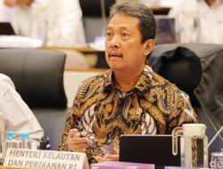 Laut Kita, Harta Kita: Inovasi Canggih Selamatkan Terumbu Karang!