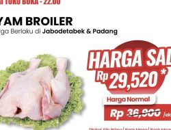 Harga Ayam Jeblok! Buruan Serbu Transmart!