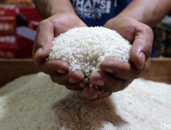 Harga Beras Turun, Tapi Kok Masih Bikin Geleng-Geleng Kepala?