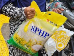 Harga Beras Meroket?  Pemerintah Turun Tangan!