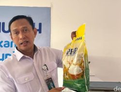 Misteri Beras Impor Bulog: Bau Apek atau Hanya Kisah Gudang yang Tertidur?
