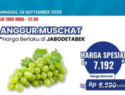 Borong Anggur Murah Meriah di Transmart Full Day Sale!