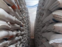 Harga Beras Meroket?  Bulog Baru Salurkan Segini!