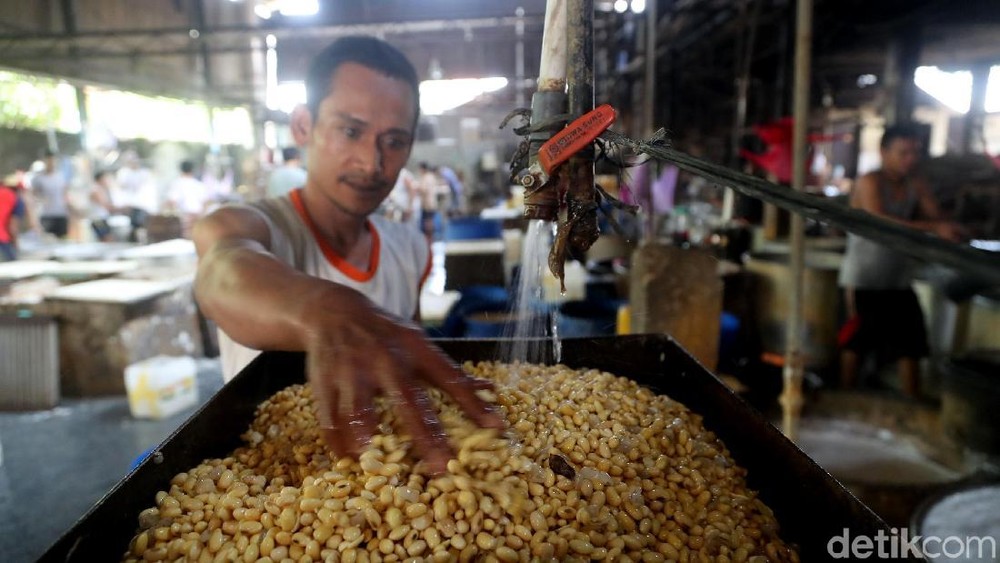 Harga Kedelai Anjlok! Pemerintah Siap Jadi 'Pahlawan' Petani?