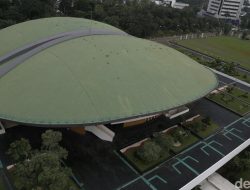 Skandal Pupuk Subsidi: Petani Menangis, Negara Merugi?