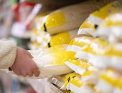 Harga Beras Meroket, Konsumen Tercekik! Pemerintah Diminta Segera Bertindak