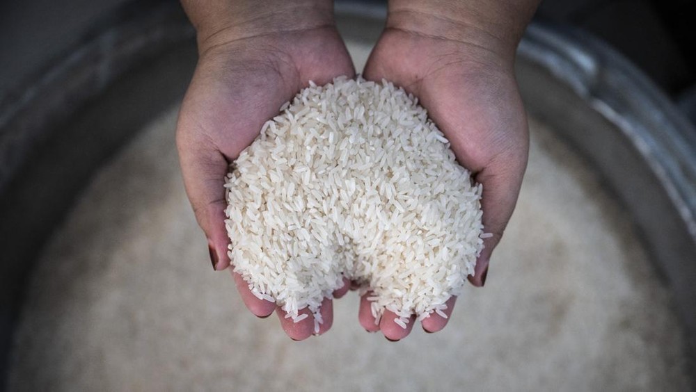 Heboh! Stok Beras Aman, Harga Tak Bikin Dompet Menangis!