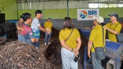 Rahasia Sukses Bisnis Sampah: BRI Ubah Sampah Jadi Emas!