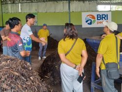 Rahasia Sukses Bisnis Sampah: BRI Ubah Sampah Jadi Emas!