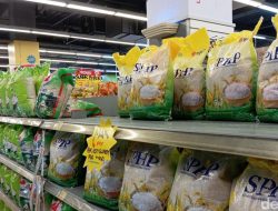 Harga Beras Meroket?  800 Ribu Ton Beras Siap Redam Inflasi!