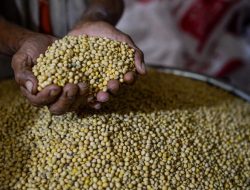 Headline: Kementan & TNI AL Bersinergi: 10.000 Ha Lahan Digenjot!