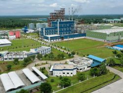 Kaget! 94 Pekerja Asing Ilegal Terjaring di KEK Sei Mangkei