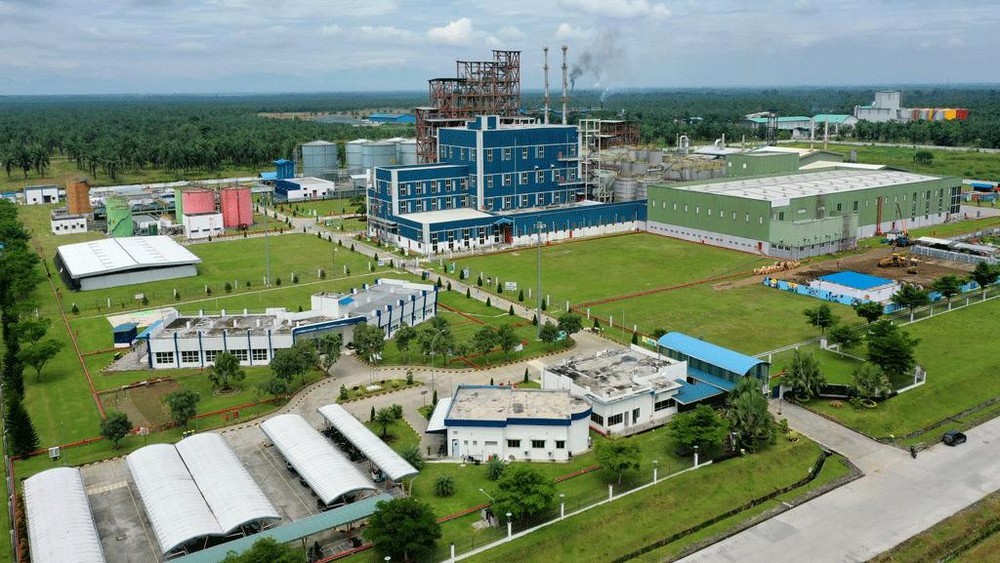 Kaget! 94 Pekerja Asing Ilegal Terjaring di KEK Sei Mangkei