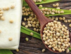 China ‘Main Dua Kaki’? Tetap Impor Kedelai Rusia Meski Janji Beli AS!