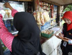 Gajian Menggiurkan! BPS Buka Lowongan 190 Ribu Petugas Sensus