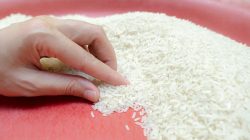 Beras Ilegal 250 Ton: Akhir Tragis di Ujung Negeri?