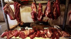 Siap-siap Nataru! Harga Daging & Telur Dijamin Aman, Ini Bocorannya