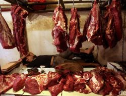 Siap-siap Nataru! Harga Daging & Telur Dijamin Aman, Ini Bocorannya