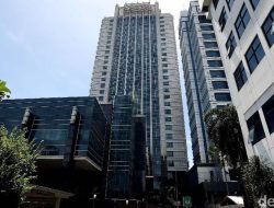 Para Sultan Wajib Pajak Dipanggil DJP: Ada ‘Paradoks’ Terkuak!