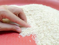 RI Impor Beras Ratusan Miliar? Fakta Ini Bikin Tercengang!