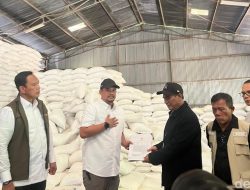 Bulog Siapkan "Peluru" Beras, Aceh-Sumut-Sumbar Kebagian Rezeki Nomplok!