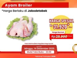 Shock Harga! Ayam Broiler Transmart Cuma Rp 20 Ribuan!
