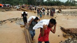 Luar Biasa! Bulog Gelontorkan Bantuan Pangan Jumbo ke Sumatra Terdampak Bencana