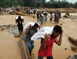 Luar Biasa! Bulog Gelontorkan Bantuan Pangan Jumbo ke Sumatra Terdampak Bencana