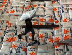 fixmakassar.com –  Angin segar berhembus kencang di sektor pangan nasional. Pemerintah Indonesia dengan tegas menyatakan tidak akan melakukan impor beras, gula konsumsi, dan jagung pakan sepanjang tahun 2026. Keputusan ini bagaikan sebuah penegasan kemandirian, didasari oleh keyakinan akan melimpahnya stok dan dan produksi dalam negeri yang sanggup memenuhi seluruh kebutuhan masyarakat.