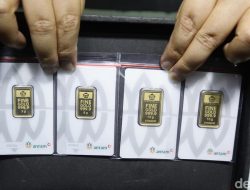 Rekor Pecah, Kini Emas Antam ‘Menyerah’! Cek Harga Hari Ini!