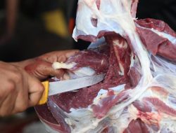 Harga Daging Sapi Aman Jelang Ramadan? Ini Kata Pemerintah!