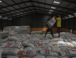 Rp5 Triliun Mengalir! 100 Gudang Bulog Siap Dibangun?