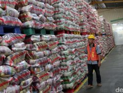 TERUNGKAP! Beras RI Siap Guncang Pasar Arab Saudi!