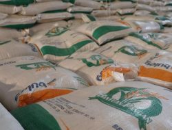 Kabar Gembira! Bansos Jumbo Rp 11,92 T Siap Guyur Jutaan KPM!