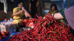 fixmakassar.com –  Gejolak harga cabai yang kerap kali menyerupai roller coaster, membuat petani dan konsumen pusing tujuh keliling, kini akan segera dicarikan solusinya. Kementerian Pertanian (Kementan) di bawah komando Menteri Pertanian (Mentan) Andi Amran Sulaiman, tengah menyiapkan regulasi komprehensif untuk menstabilkan harga komoditas penting ini, termasuk tomat. Tujuannya jelas: agar petani tidak lagi terjerembab dalam kerugian saat panen melimpah, dan konsumen tidak menjerit saat harga melambung tinggi.