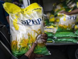 Tembok Inflasi Beras! SPHP Diperpanjang, Harga Aman Hingga 2026!