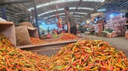 Dompet Lega! Harga Cabai dan Ayam Ras Terjun Bebas di Pasar?