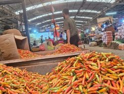 Dompet Lega! Harga Cabai dan Ayam Ras Terjun Bebas di Pasar?