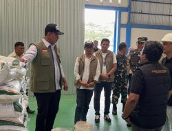 Revolusi Padi di Maros: Bulog Ajak Petani Panen Cuan dari Sekam!