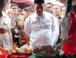 Mentan Klaim RI Swasembada Pangan, Siap Guncang Dunia!